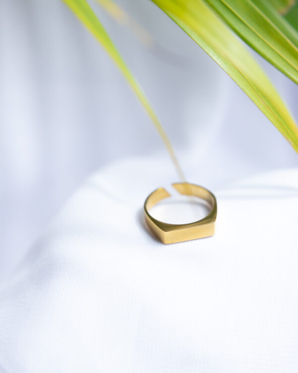 Bague Enoc