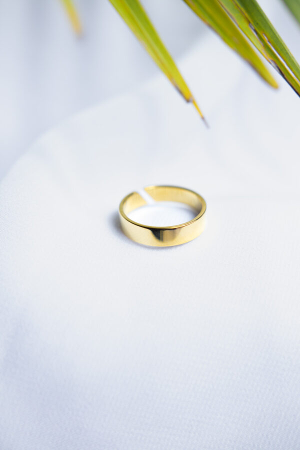 Bague Rive