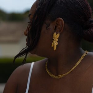 Boucle Adès